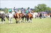 UKPA NC SAT_2510
